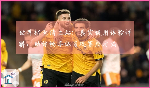 世界杯竞猜主站：真实使用体验详解，助你畅享体育观赛新方式