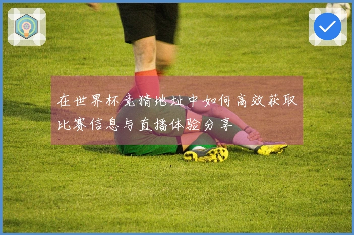 在世界杯竞猜地址中如何高效获取比赛信息与直播体验分享