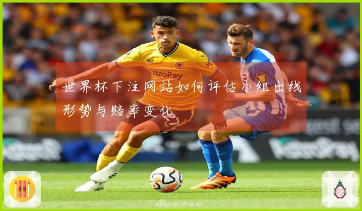世界杯下注网站如何评估小组出线形势与赔率变化