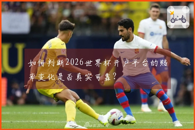 如何判断2026世界杯开户平台的赔率变化是否真实可靠？