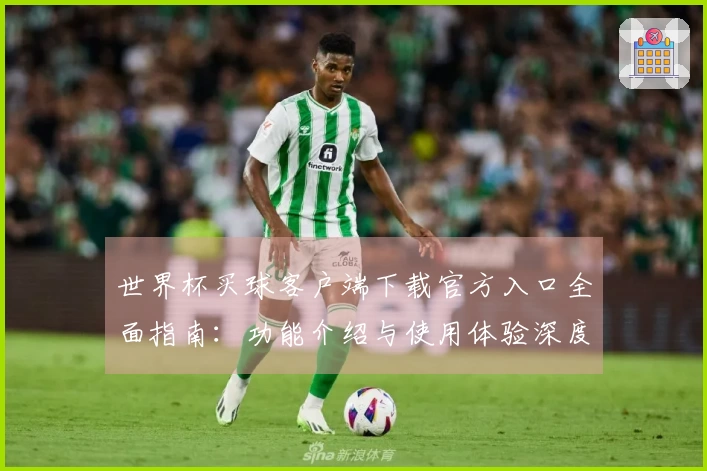 世界杯买球客户端下载官方入口全面指南：功能介绍与使用体验深度解析
