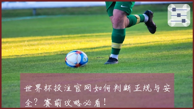 世界杯投注官网如何判断正规与安全？赛前攻略必看！