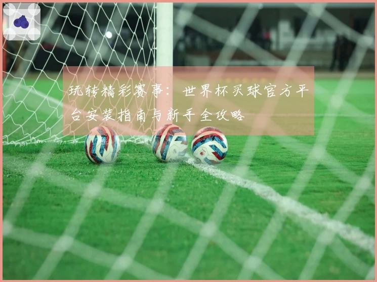 玩转精彩赛事：世界杯买球官方平台安装指南与新手全攻略