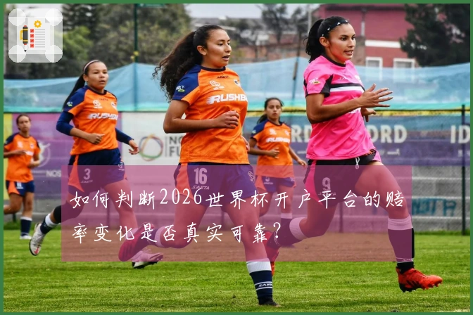 如何判断2026世界杯开户平台的赔率变化是否真实可靠？