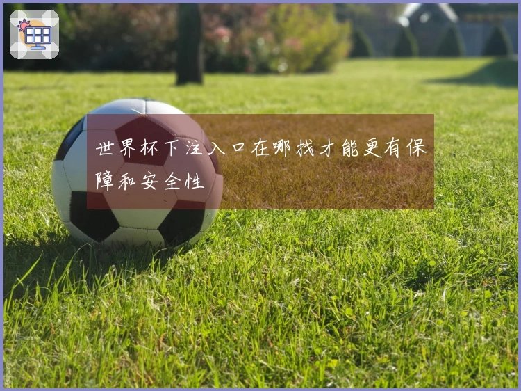 世界杯下注入口在哪找才能更有保障和安全性