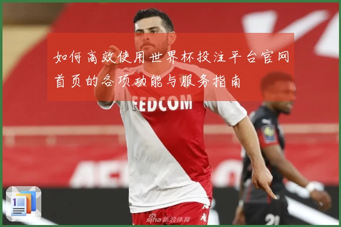 如何高效使用世界杯投注平台官网首页的各项功能与服务指南
